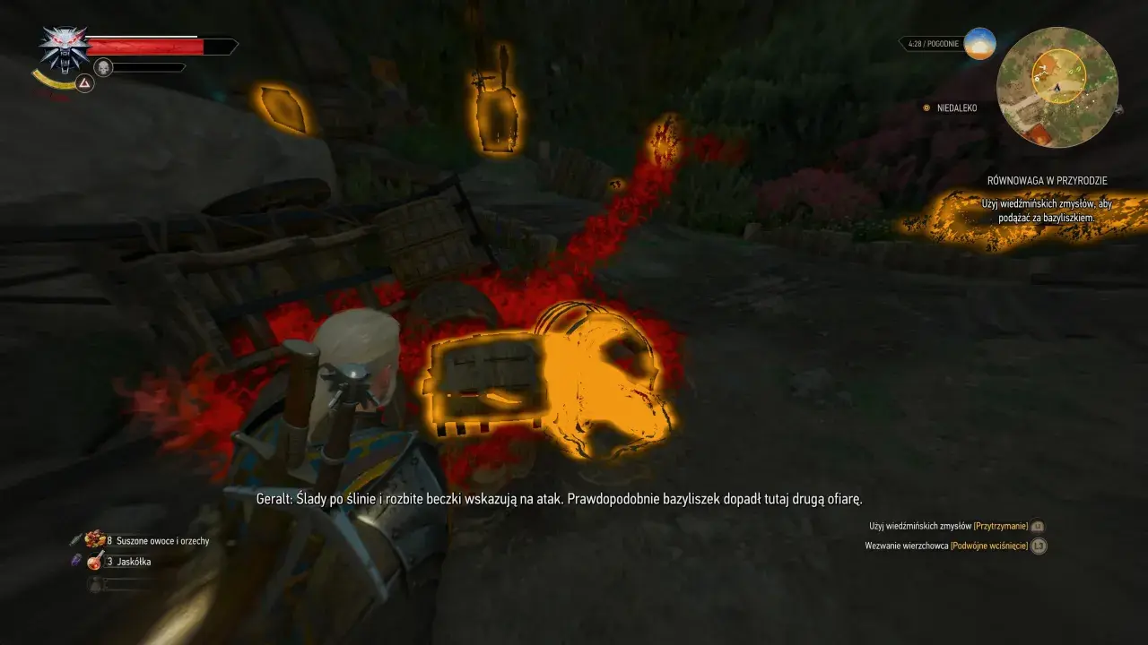 Geralt tropi bazyliszka, który zostawił ślady i rozbite beczki. Wiedźmin 3: Równowaga w przyrodzie.
