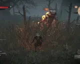 Geralt walczy z Biesem na Wyspie Mgieł. Wokół płoną trawy i drzewa, tworząc mroczną atmosferę.