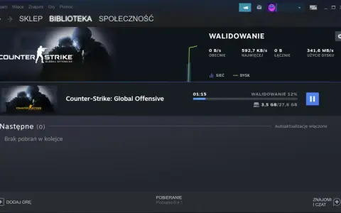 Walidacja gry Counter-Strike: Global Offensive na Steam. Proces ten jest kluczowy, gdy chcesz przenieść grę z dysku na dysk, zapewniając jej poprawną instalację.
