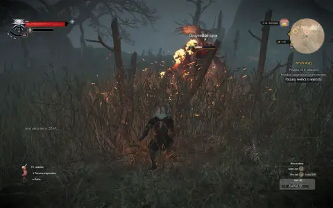 Geralt walczy z Biesem na Wyspie Mgieł. Wokół płoną trawy i drzewa, tworząc mroczną atmosferę.