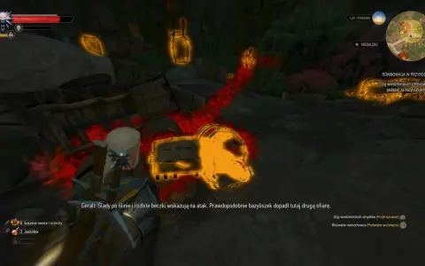 Geralt tropi bazyliszka, który zostawił ślady i rozbite beczki. Wiedźmin 3: Równowaga w przyrodzie.