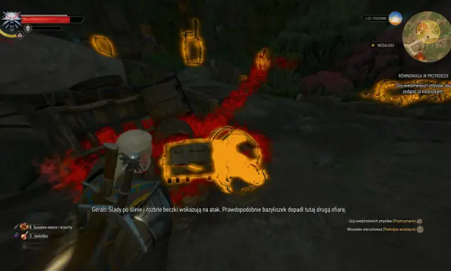 Geralt tropi bazyliszka, który zostawił ślady i rozbite beczki. Wiedźmin 3: Równowaga w przyrodzie.