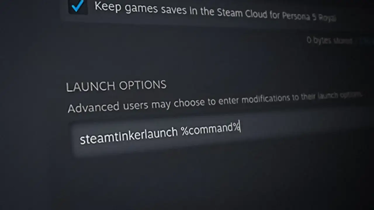 Ustawienia zaawansowane dla opcji uruchamiania Steam. Wpisano 